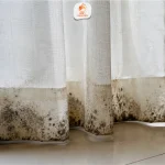 Curtain Mould Malaysia: Causes, Removal and Prevention