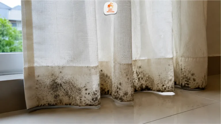 Curtain Mould Malaysia: Causes, Removal and Prevention