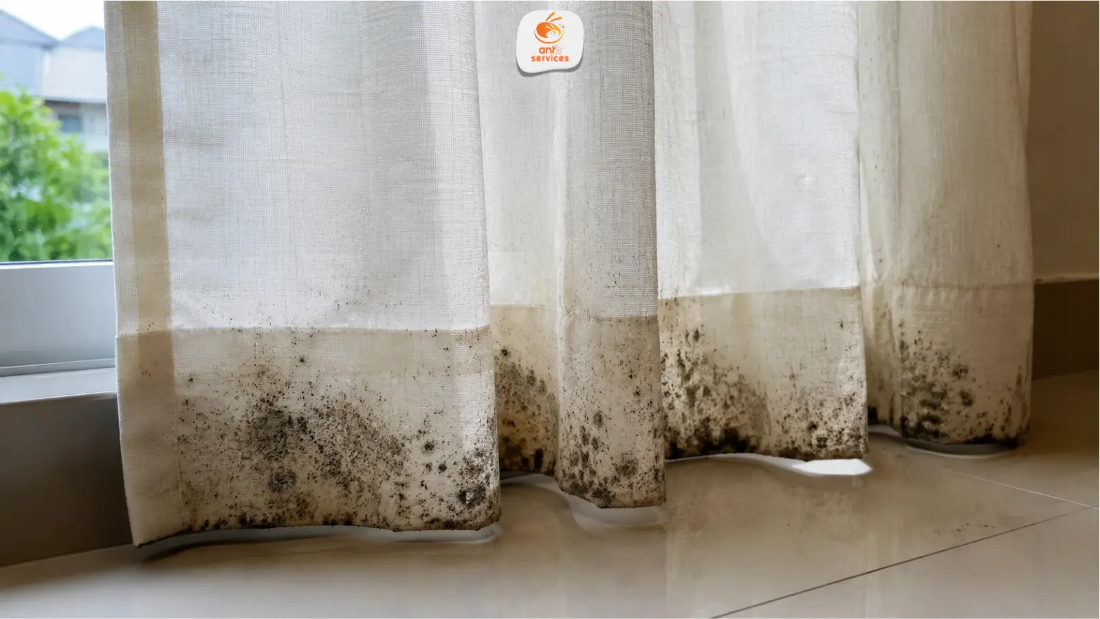 Curtain Mould Malaysia: Causes, Removal and Prevention