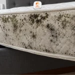 Mattress Mould Malaysia: Signs, Causes and How to Treat It